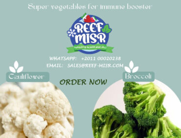 🌱 The Start of Broccoli & Cauliflower Season at Reef Misr! 🌱